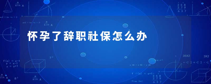 怀孕了辞职社保怎么办