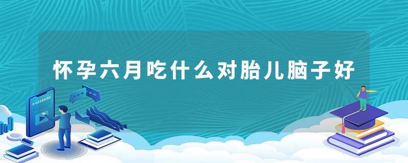 怀孕六月吃什么对胎儿脑子好