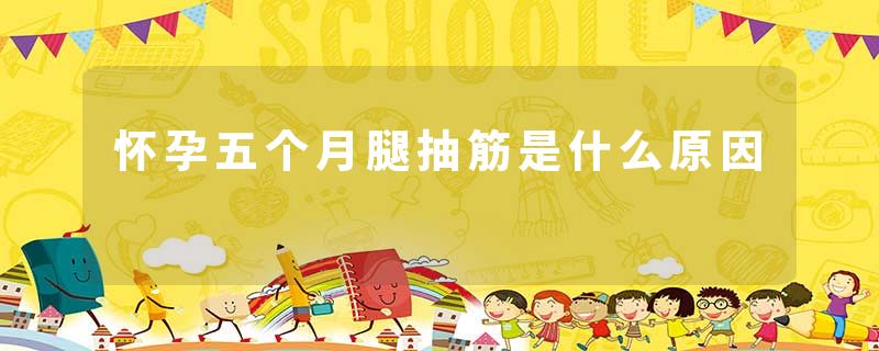 怀孕五个月腿抽筋是什么原因