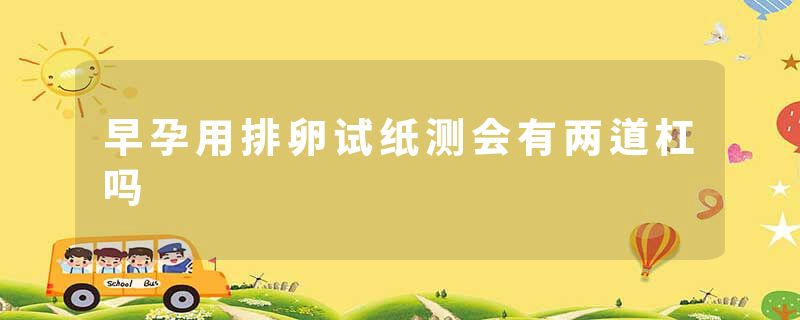 早孕用排卵试纸测会有两道杠吗
