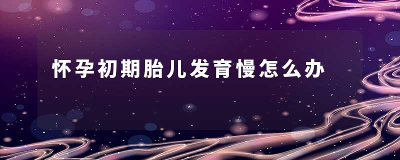 怀孕初期胎儿发育慢怎么办