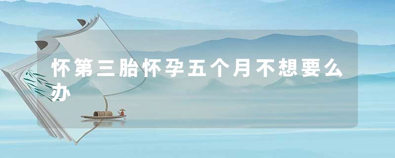 怀第三胎怀孕五个月不想要么办
