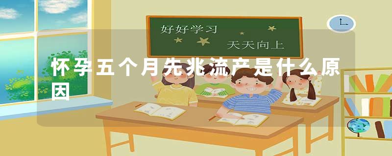 怀孕五个月先兆流产是什么原因