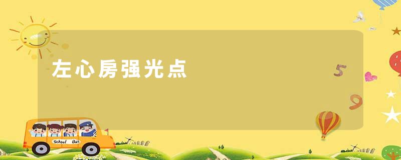 左心房强光点