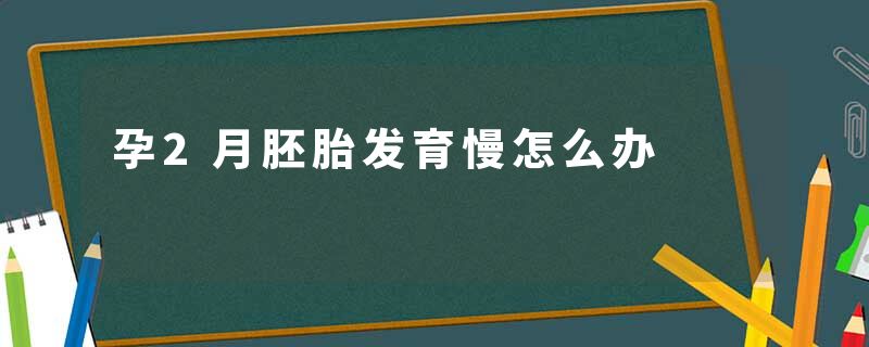 孕2月胚胎发育慢怎么办
