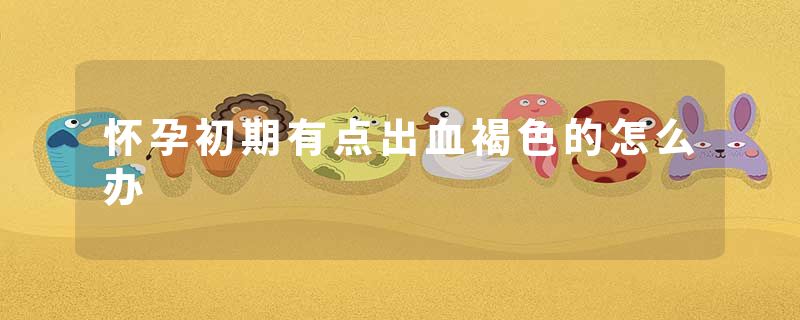怀孕初期有点出血褐色的怎么办