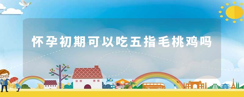 怀孕初期可以吃五指毛桃鸡吗