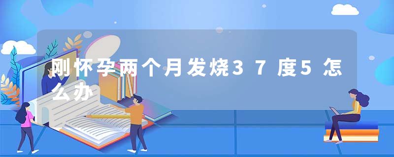 刚怀孕两个月发烧37度5怎么办