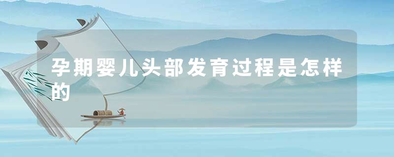 孕期婴儿头部发育过程是怎样的