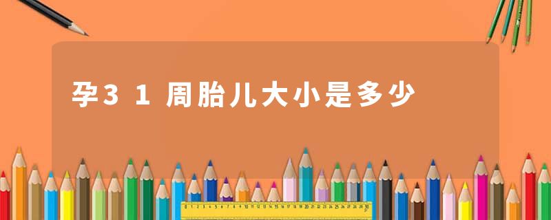 孕31周胎儿大小是多少