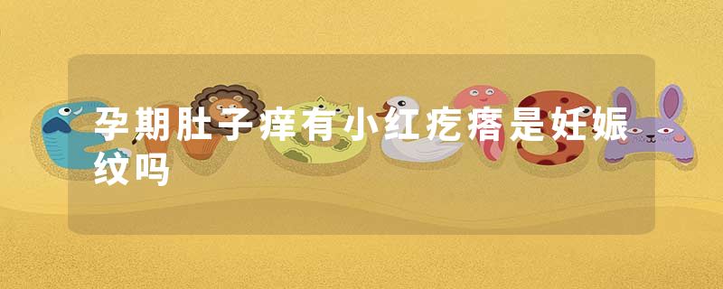 孕期肚子痒有小红疙瘩是妊娠纹吗