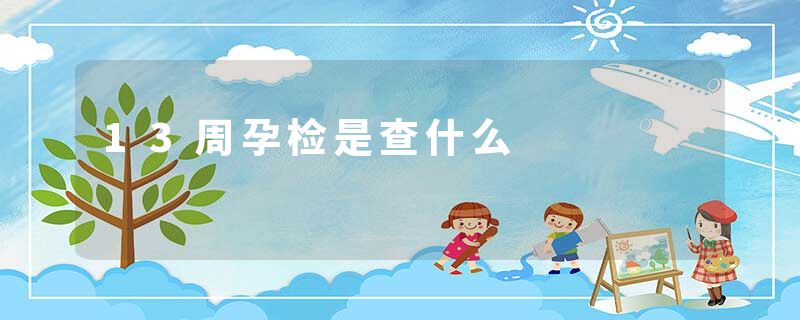 13周孕检是查什么