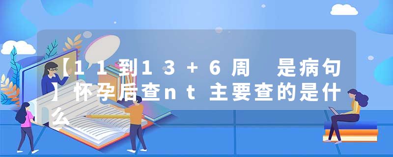 【11到13+6周 是病句】怀孕后查nt主要查的是什么