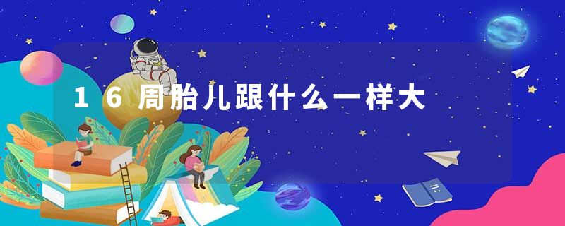 16周胎儿跟什么一样大