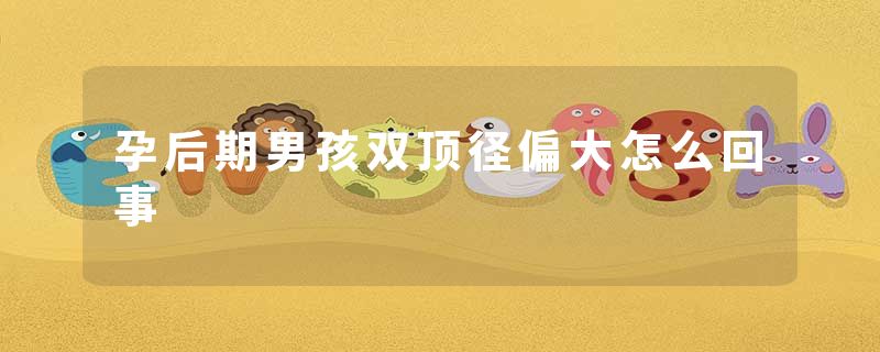 孕后期男孩双顶径偏大怎么回事