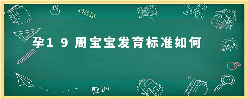 孕19周宝宝发育标准如何