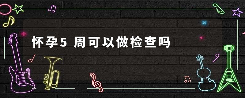 怀孕5周可以做检查吗
