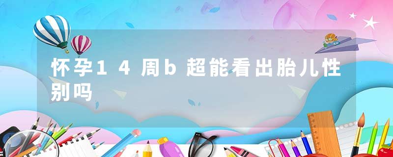 怀孕14周b超能看出胎儿性别吗