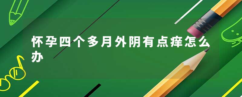 怀孕四个多月外阴有点痒怎么办