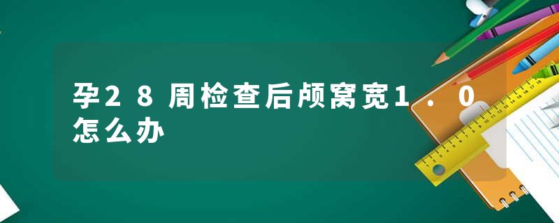 孕28周检查后颅窝宽1.0怎么办