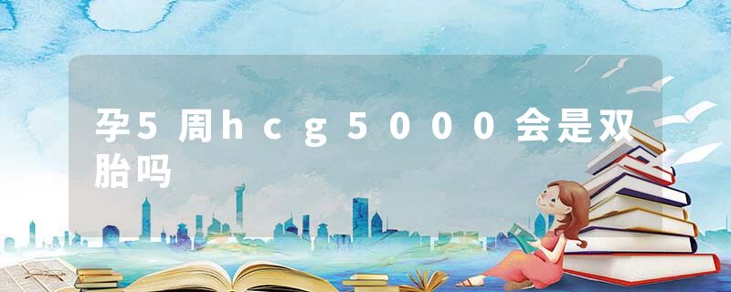 孕5周hcg5000会是双胎吗
