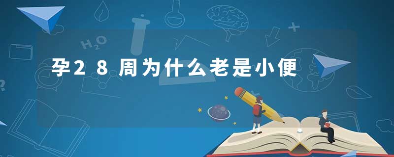 孕28周为什么老是小便