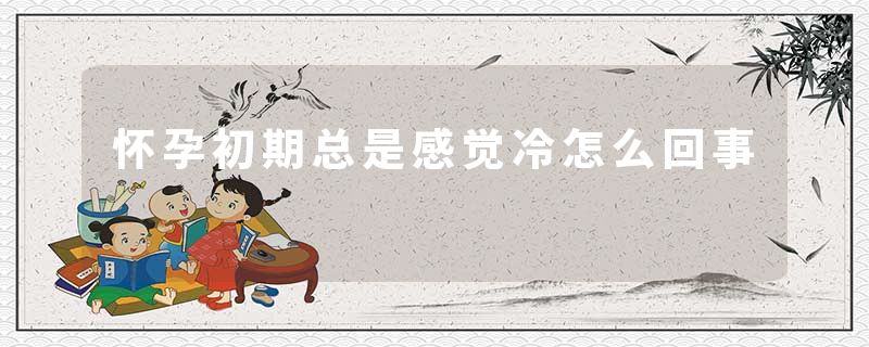 怀孕初期总是感觉冷怎么回事