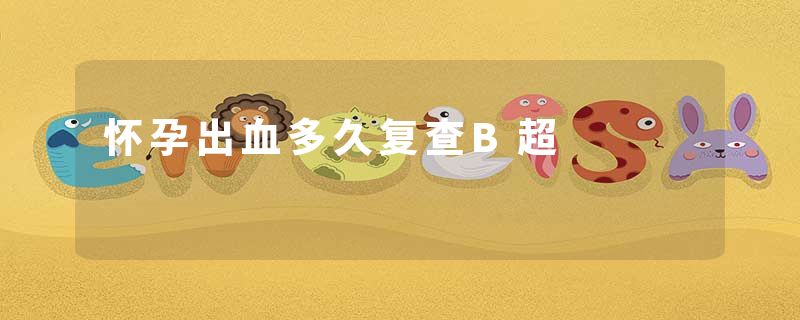 怀孕出血多久复查B超