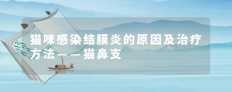 猫咪感染结膜炎的原因及治疗方法——猫鼻支