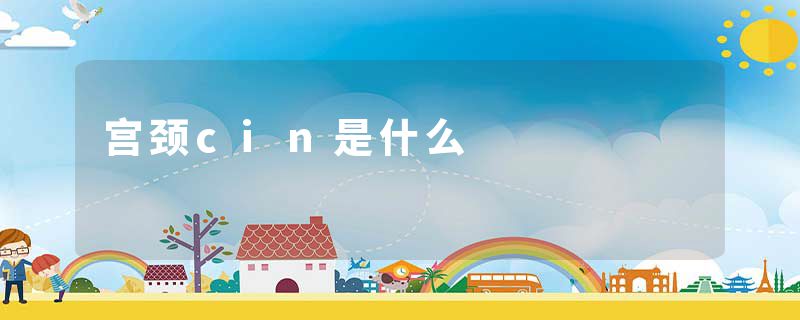宫颈cin是什么