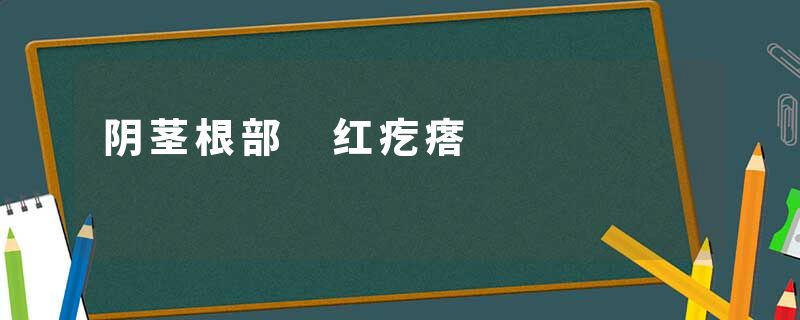 阴茎根部 红疙瘩