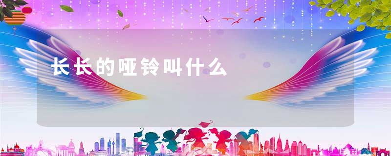 长长的哑铃叫什么