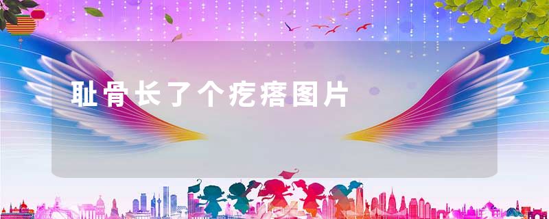 耻骨长了个疙瘩图片