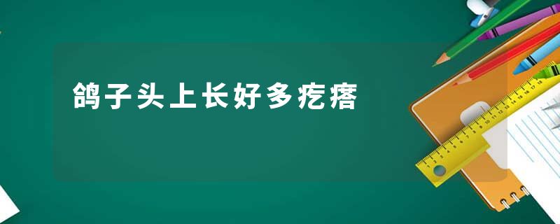 鸽子头上长好多疙瘩