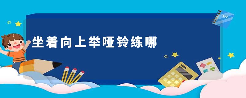 坐着向上举哑铃练哪