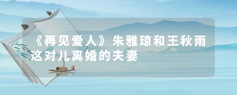 《再见爱人》朱雅琼和王秋雨这对儿离婚的夫妻