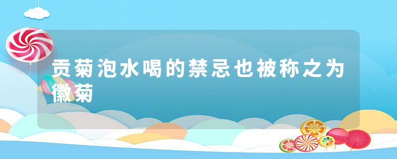 贡菊泡水喝的禁忌也被称之为徽菊