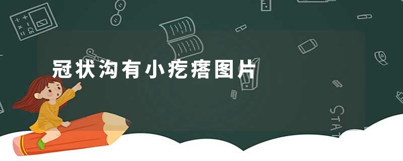 冠状沟有小疙瘩图片