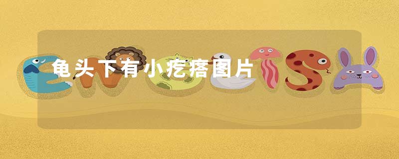 龟头下有小疙瘩图片