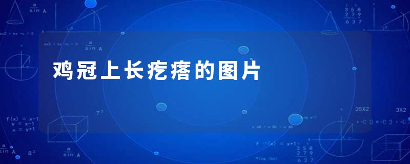 鸡冠上长疙瘩的图片