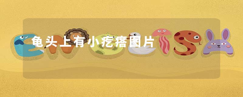 龟头上有小疙瘩图片