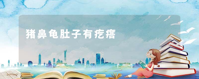猪鼻龟肚子有疙瘩